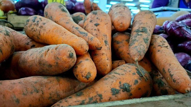 Секреты садоводов для сахарной моркови: калий плюс фосфор и урожай хоть продавай