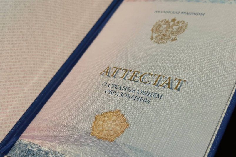 Вам точно выдали липовый аттестат, если и 30% не наберете - ТЕСТ про школу