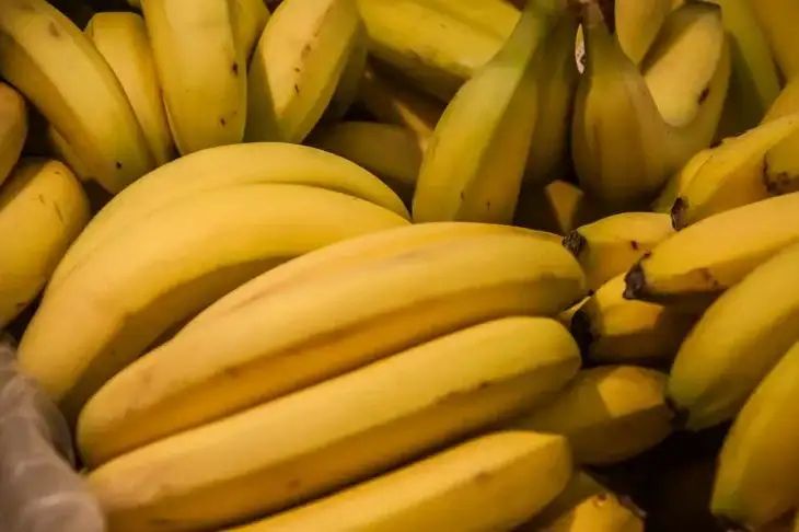 Какие растения можно подкармливать банановой кожурой: не все садоводы знают, кому такое удобрение принесет максимум пользы