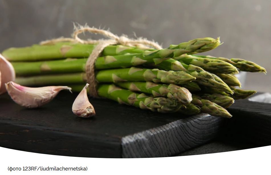 Как вырастить спаржу: секреты успешного ухода в открытом грунте