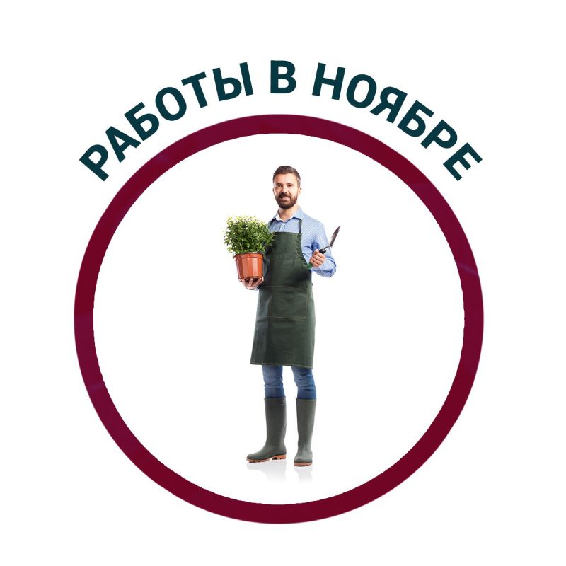 Как подготовить сад к зиме: советы для осени 2025 года