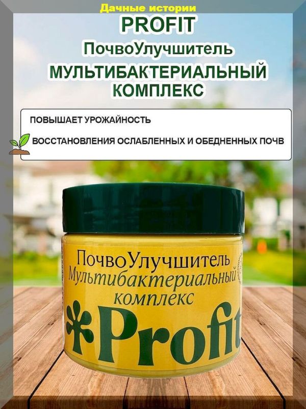 Как дачники справляются с распространенными проблемами: новые советы и рекомендации