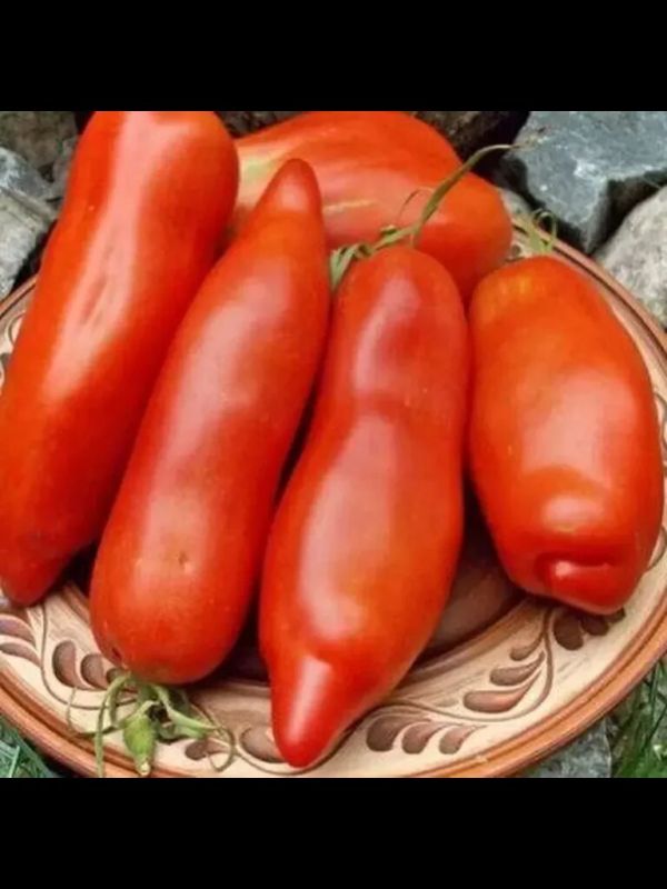 ����� ���� �����: ��� ��������� ������� � ����������� ������� � ������� �������