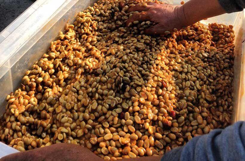 ���������� � ��� �������� ���������