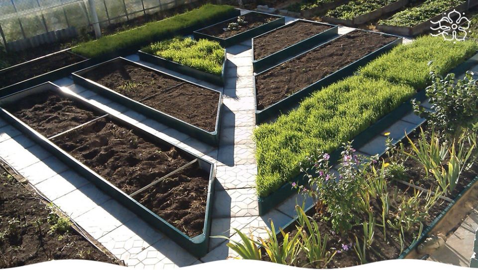 ��� ������������� � ������ ������� ������: ������ ��� ���������