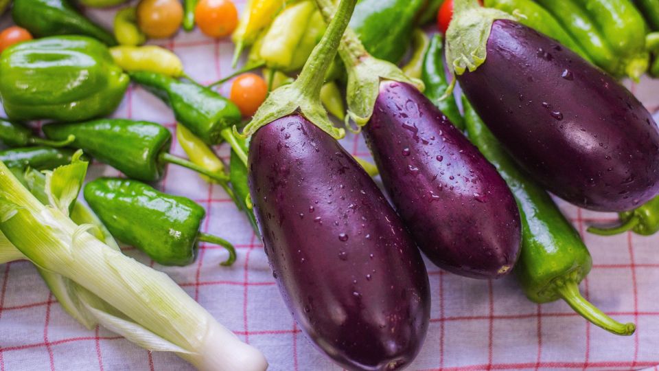 ���������� ������ �� ����: ��� �������� ��������, ����� ������ �� ������� ����