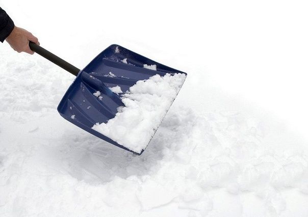 �������� ��� ��������: ��� ������ � ���������� ���������� �� �����