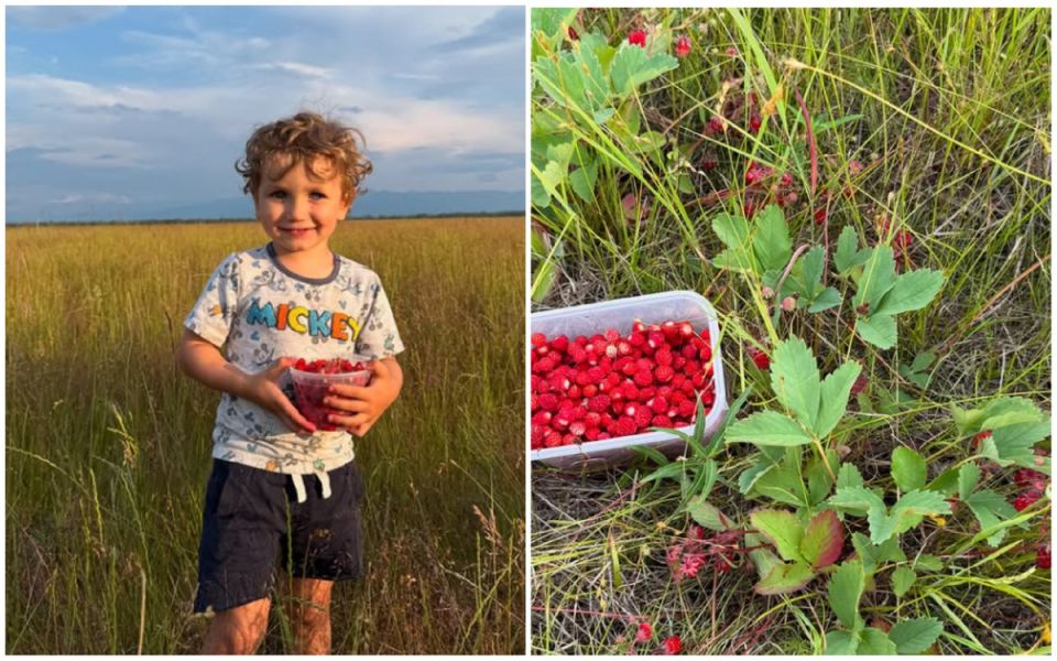 ������ �������: ����� � �������� � �������� � ���������� ������������