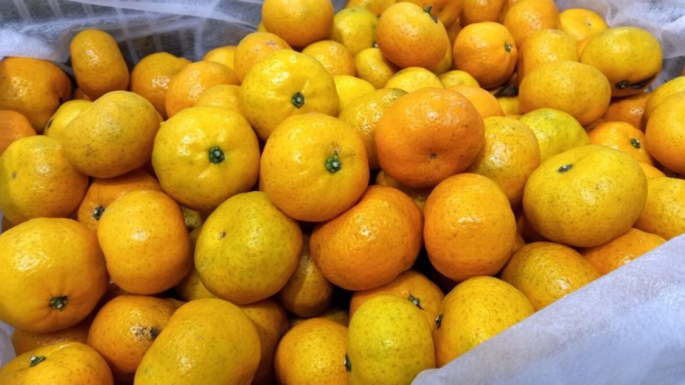 ��� ������� ��������� ��������� ��������� � ���� ��������?