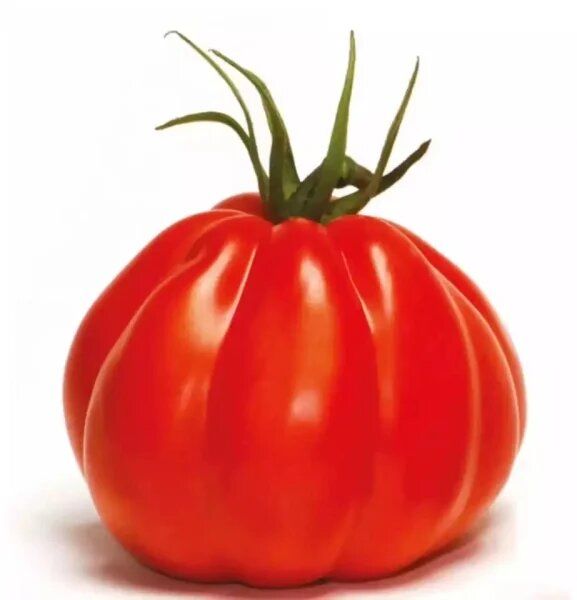 ����� �������: ��������� ����� ��� �������� � ���������