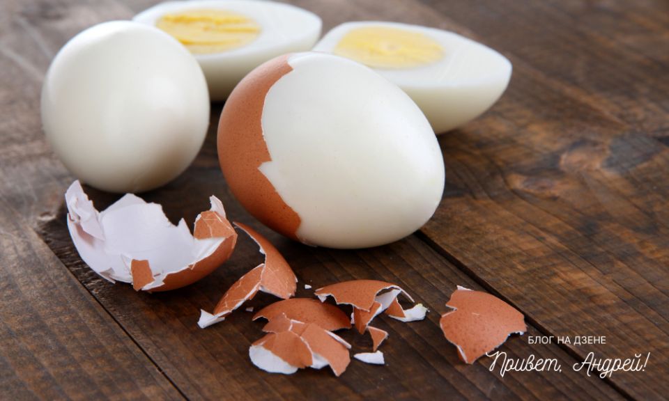 ������ �����: �� �������� � ����������� ������