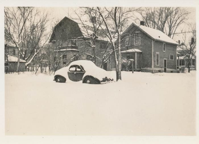 Толстый снег и его противостояние грызунам: мифы и реальность