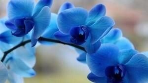 ����� �������: ���� � ���������� � ���������� ������