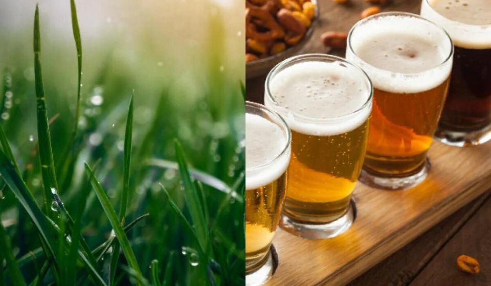 ����� ��� ������� �������: ��� ���� ����� ����� ��������� ��� ������ ��������� ��������