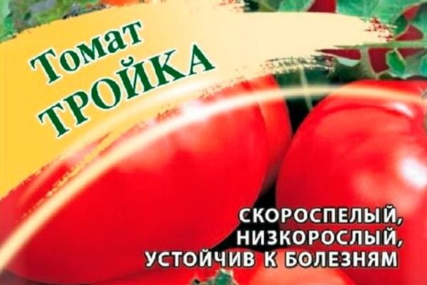 Томат Тройка: ранние плоды и простота ухода для каждого садовода