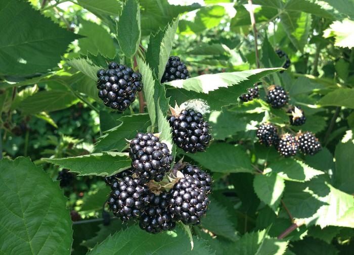 ��� �������� ���������� �������: �������� ������ ��� ���������