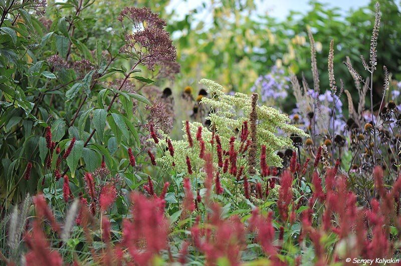 �����, ������� ������������: 6 �������������� ������ ��� ������ ����