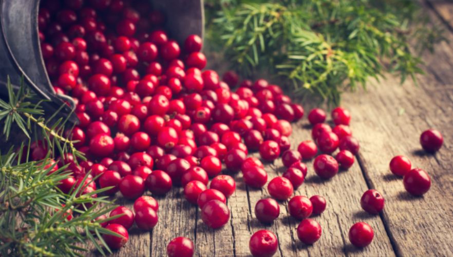 ������: ��������� ������� ��� ��������