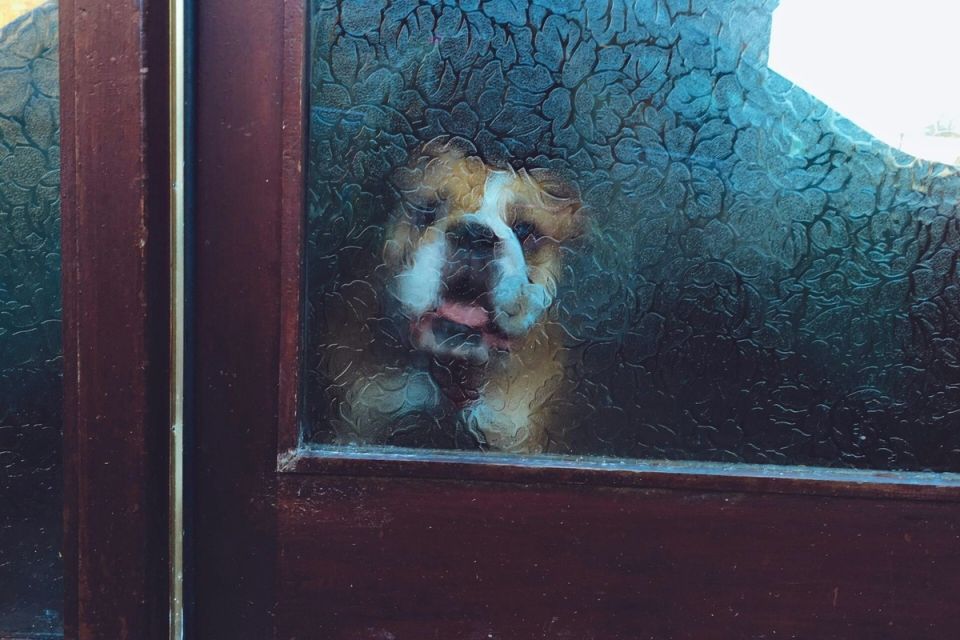 Почти как новое: спокойное руководство по чистке матового стекла без риска царапин