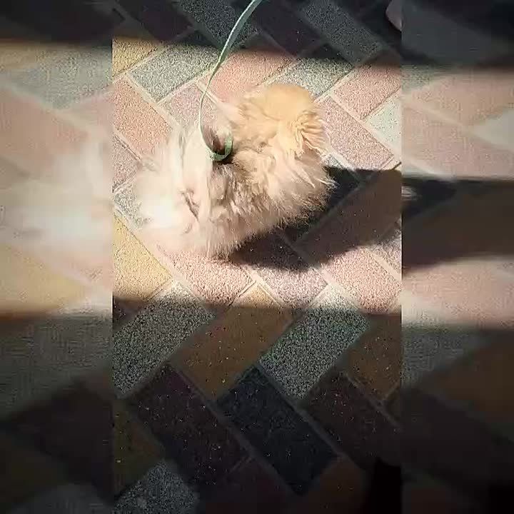       !