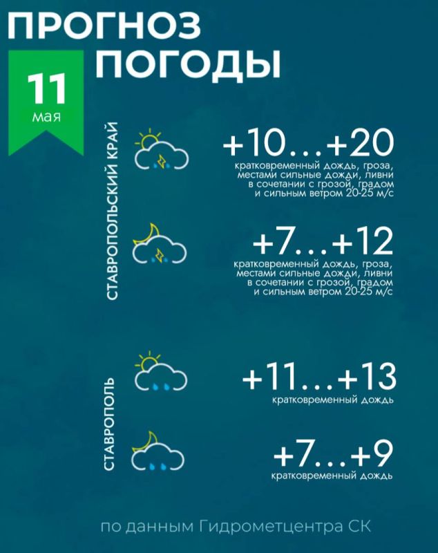    11 