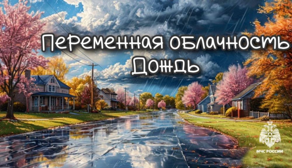 #26.    :     ,   , ,         ,     ,   ...