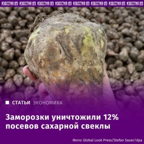    12%   