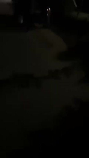  :      :