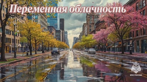 #26.      : 22     ,   
