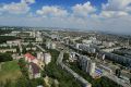 На Ставрополье повысили ответственность за нарушение требований к содержанию и выгулу домашних животных