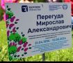 В Ессентуках студенческий сад памяти посвятили выпускникам героям СВО