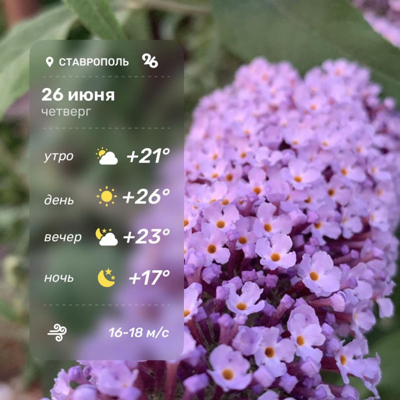   26 