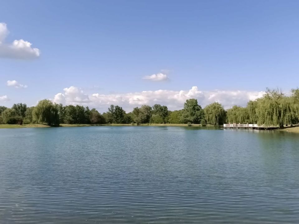     ,    