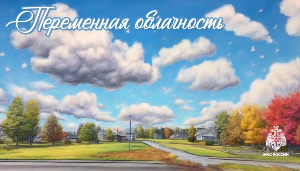 #26.     : 29    ,    ,    , ,     
