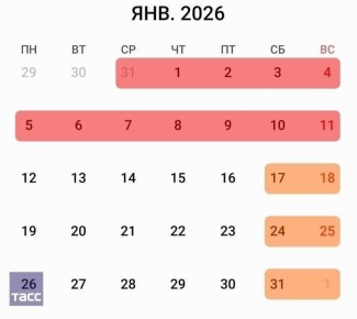    2026   12    31  2025   11  2026 ,  