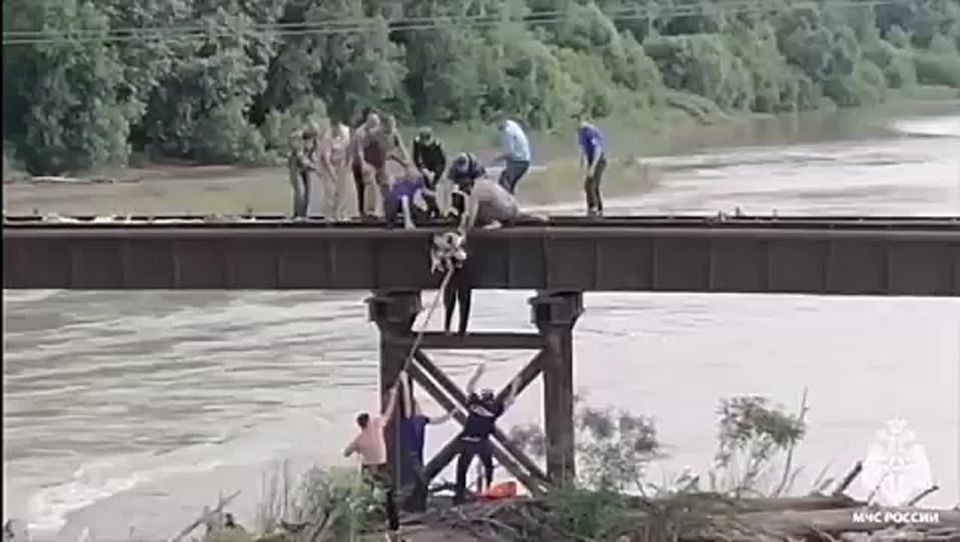          ,   