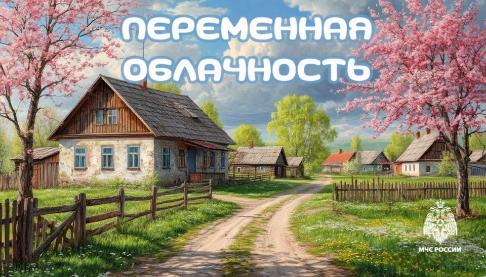 #26.     : 5    ,   