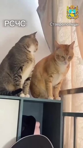  ,    ?