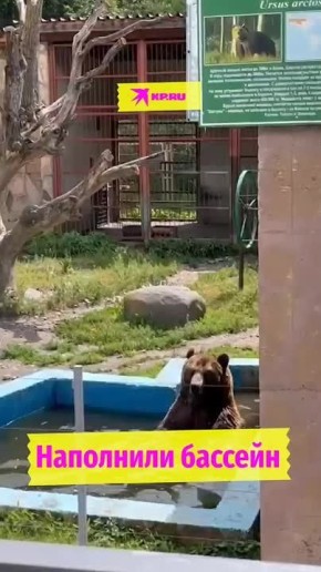   ,   ,   ,      