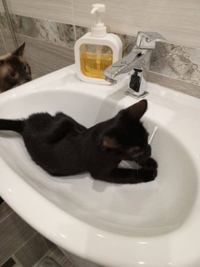         :  ,  , 