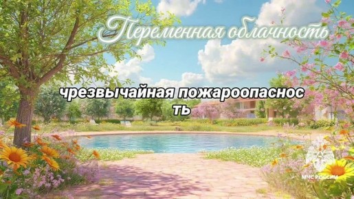 #26.      :     ,   