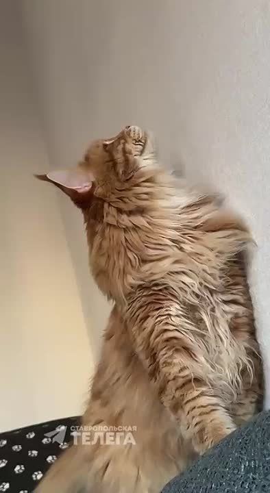            !