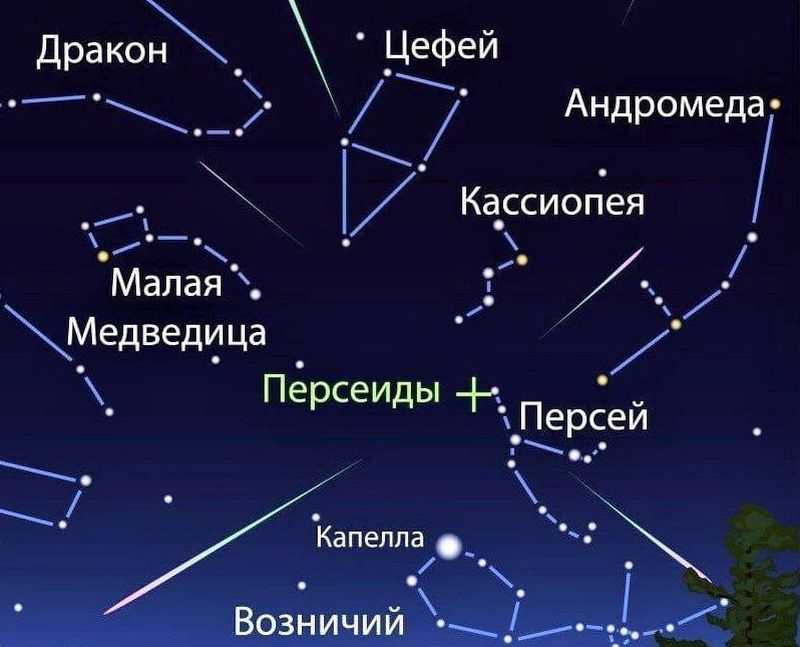   :     