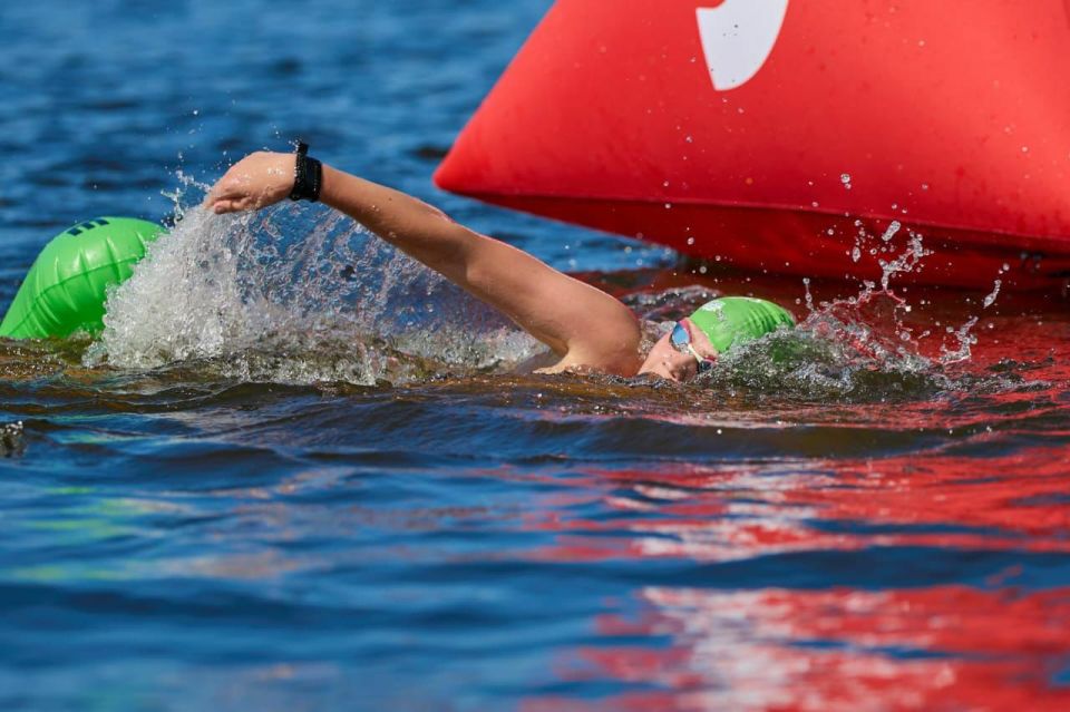         Swimcup  -