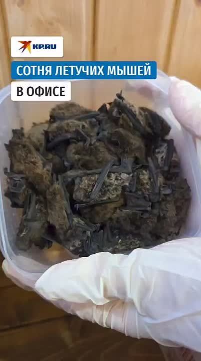   (  )  
