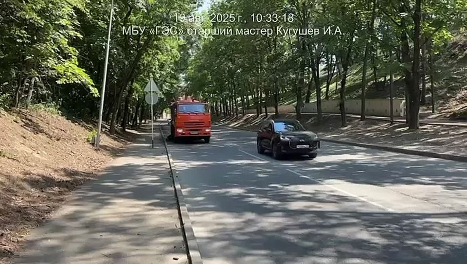 19.08.2025  .         -  ,  