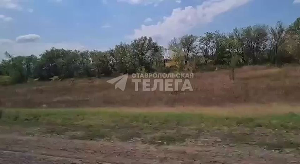 ,  ,    