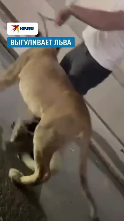  !      
