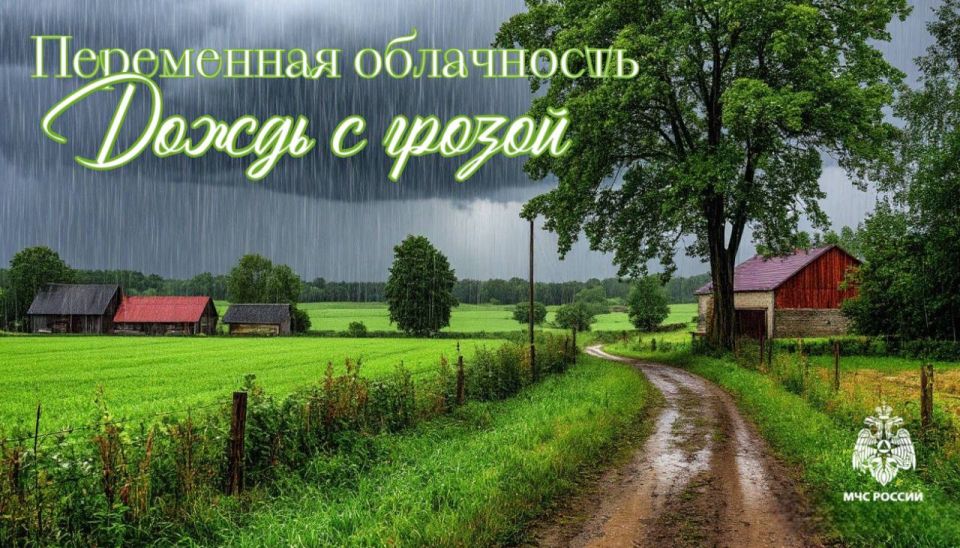 #26.     : 11     ,   , ,     ,     ,    ...