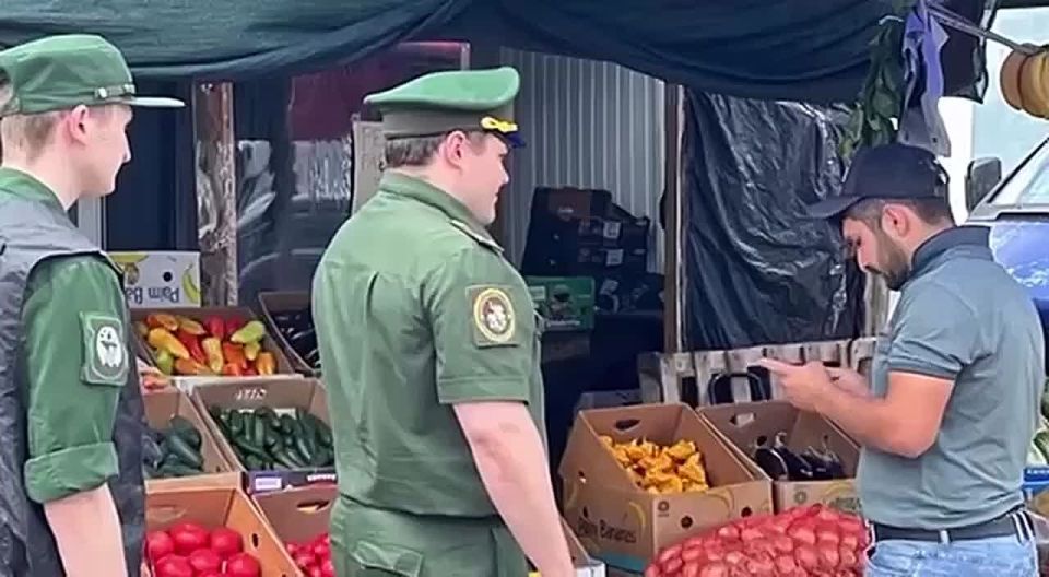       л:  55     ,      ,      ,   ...